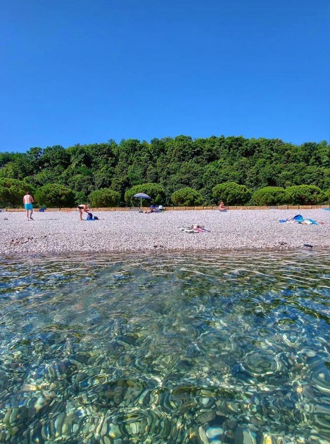 Villa Ines Zgornje Skofije Bagian luar foto