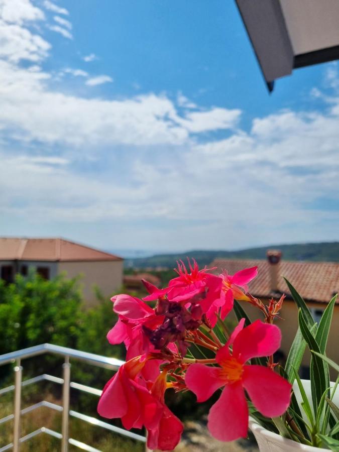Villa Ines Zgornje Skofije Bagian luar foto